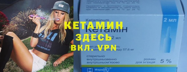 прущие грибы Абаза