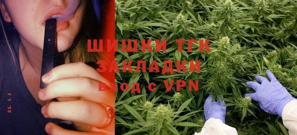 прущие грибы Абаза