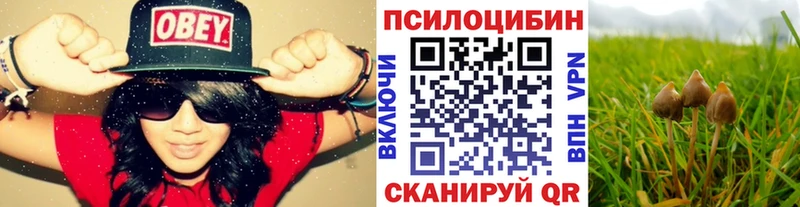 Псилоцибиновые грибы GOLDEN TEACHER  закладка  Ахтырский 